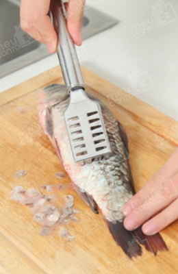 Jogo 2 Escamador Limpador de Peixe em Aço Inox Descamador Profissional Utensílio de Cozinha