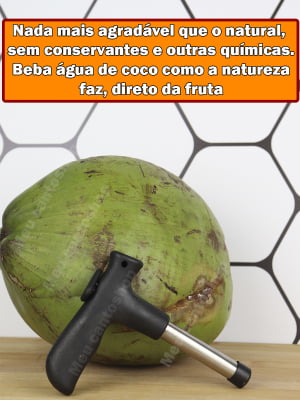 Furador Abridor De Coco Manual Fácil Profissional Aço Inox Higiênico Prático