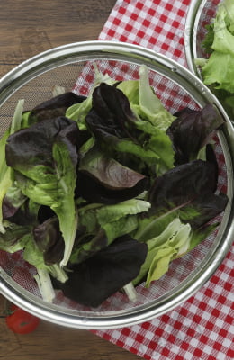 Escorredor Aço Inox Multiuso para Alimentos Legumes Verduras Saladas Macarrão Frutos do Mar