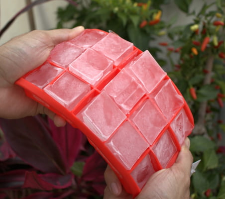 Forma de gelo papinha de silicone 15 cubos livre de bpa Vermelho uni su191327