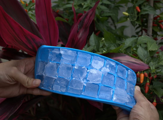 Forma de gelo papinha de silicone 24 cubos azul com tampa uni su191329
